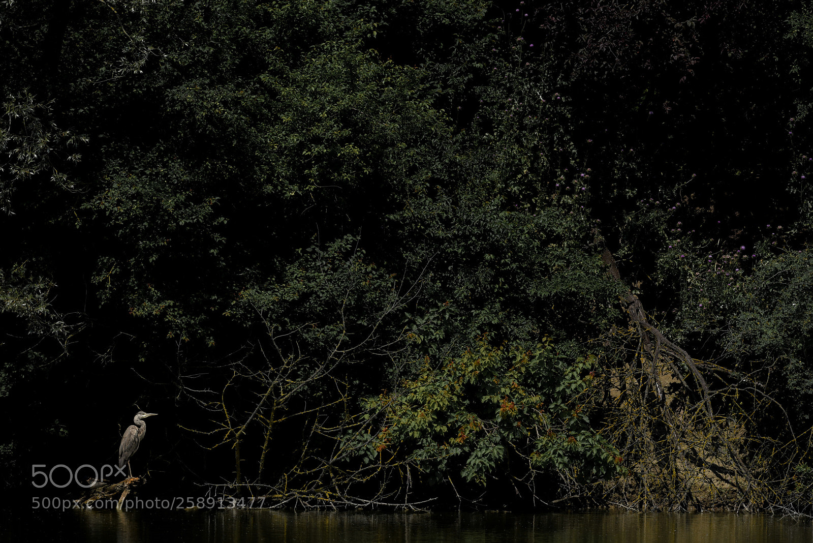 Nikon D750 sample photo. Light and shadow in photography