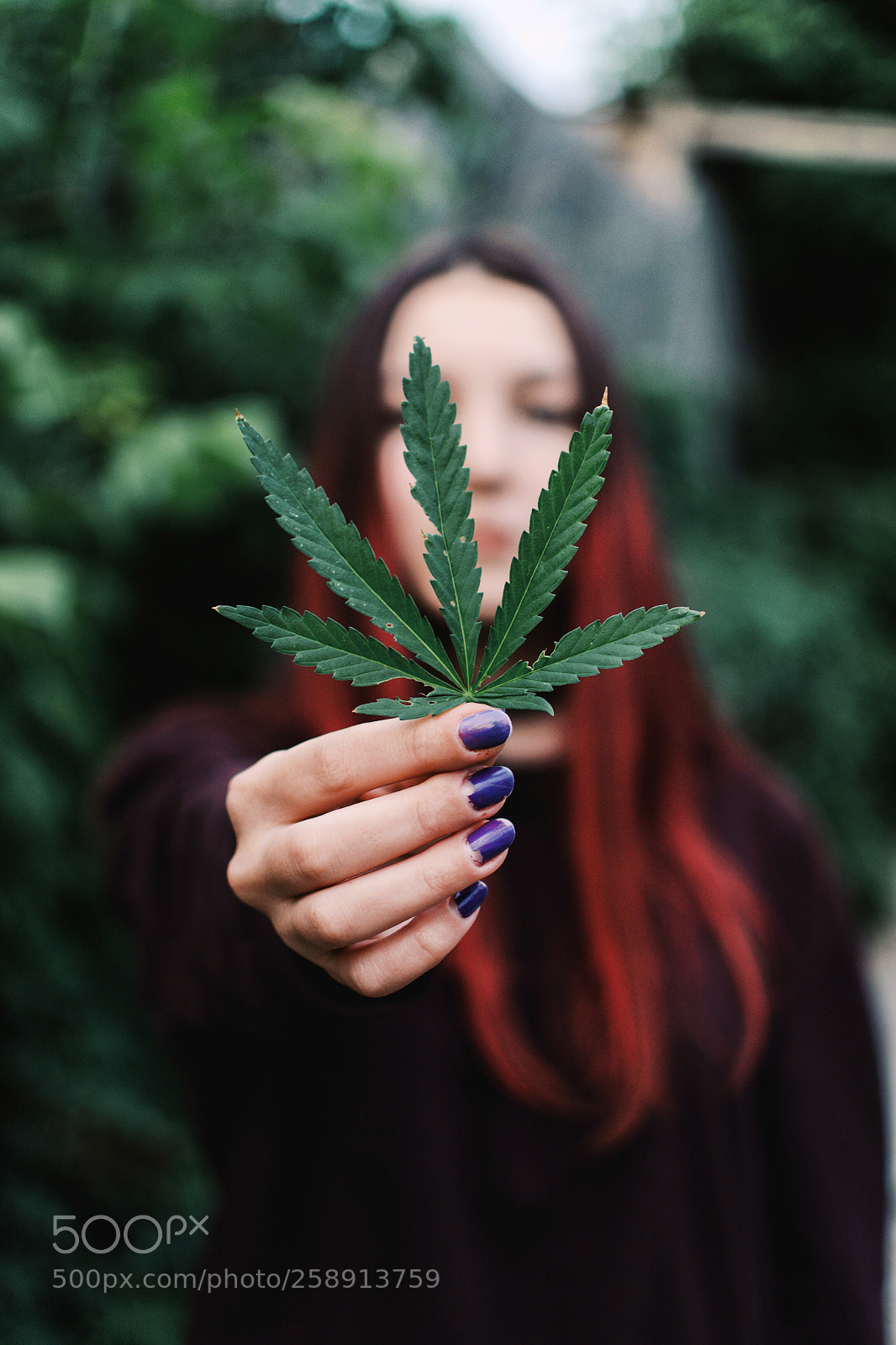 Nikon D3100 sample photo. We don't speak weed photography