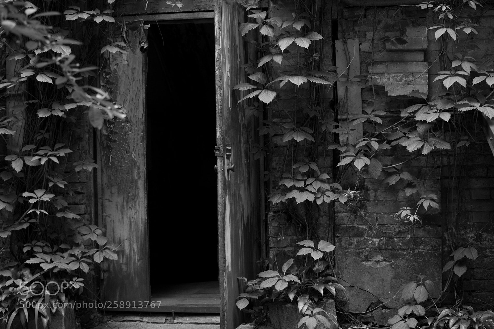 Nikon D7100 sample photo. Untitled photography