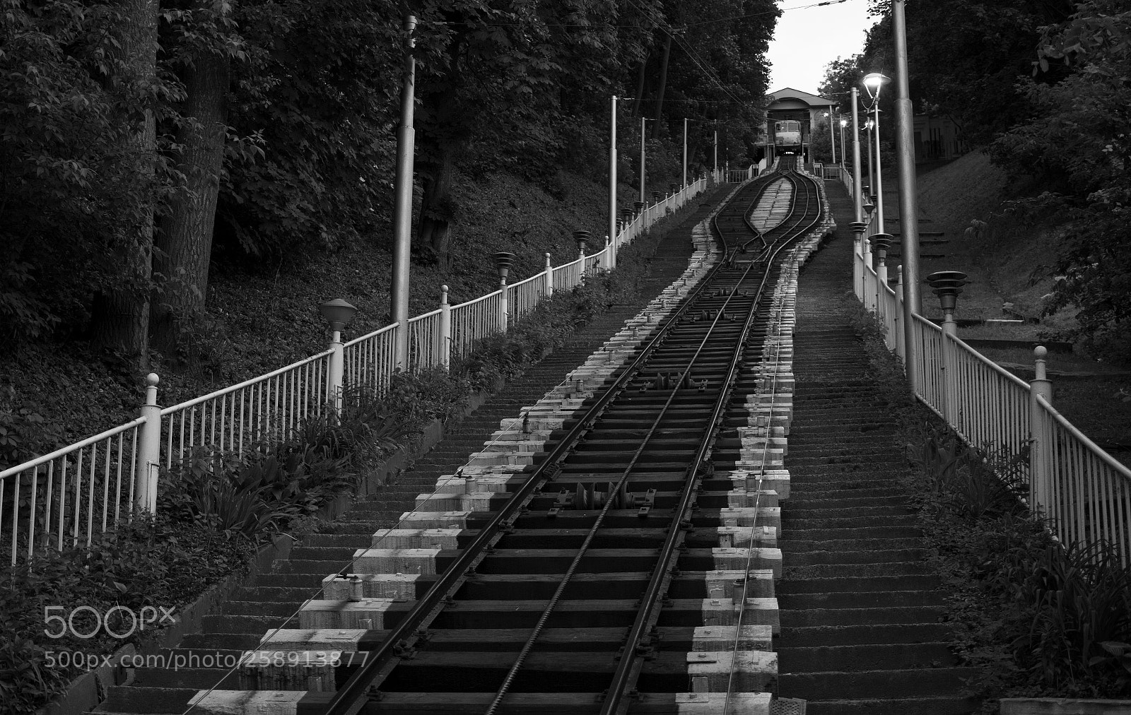 Nikon D7100 sample photo. Untitled photography