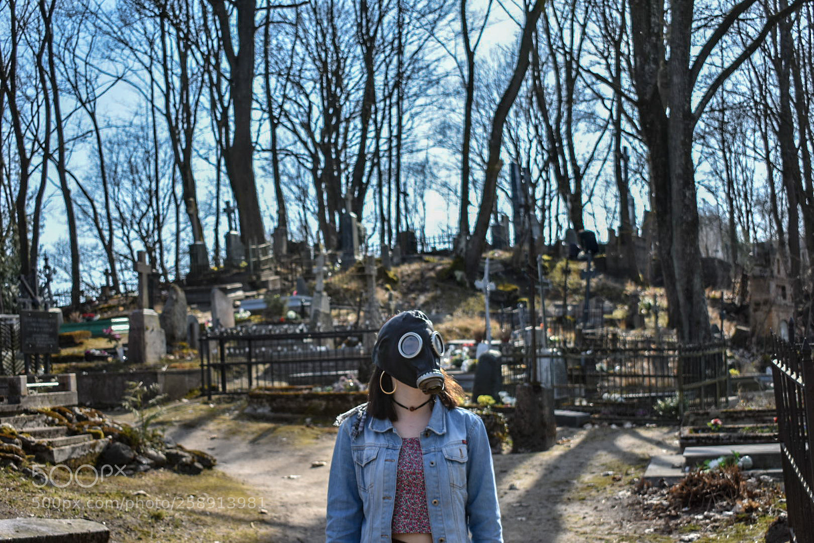 Nikon D3400 sample photo. Ready. photography