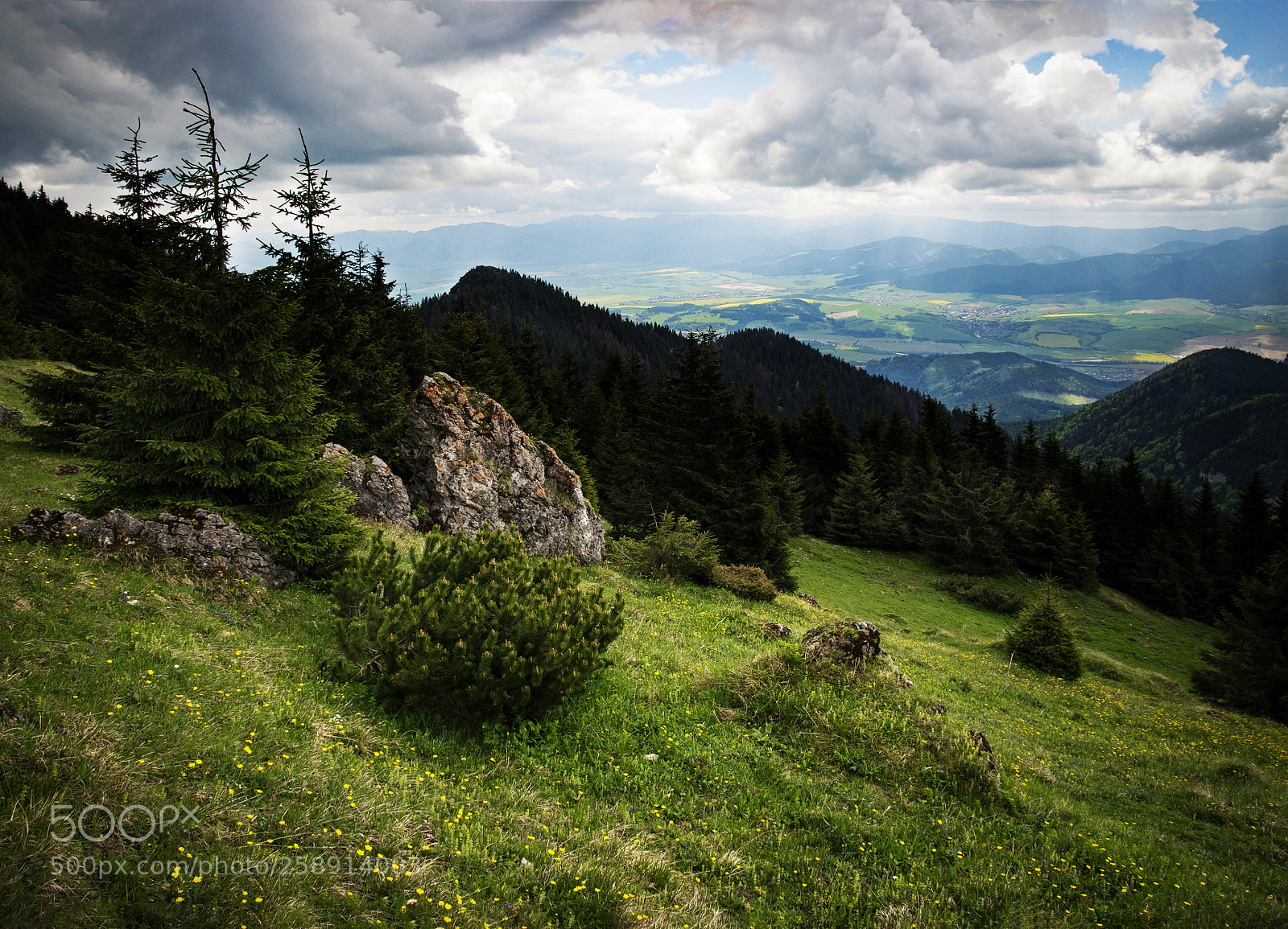 Nikon D5500 sample photo. Landscape a green mountain photography