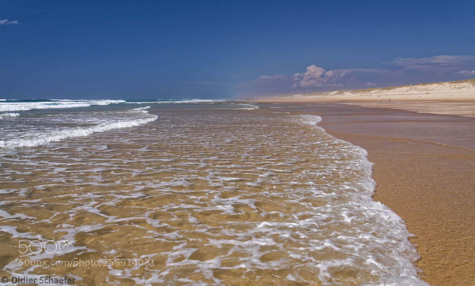 Canon EOS 50D sample photo. Lacy ocean photography