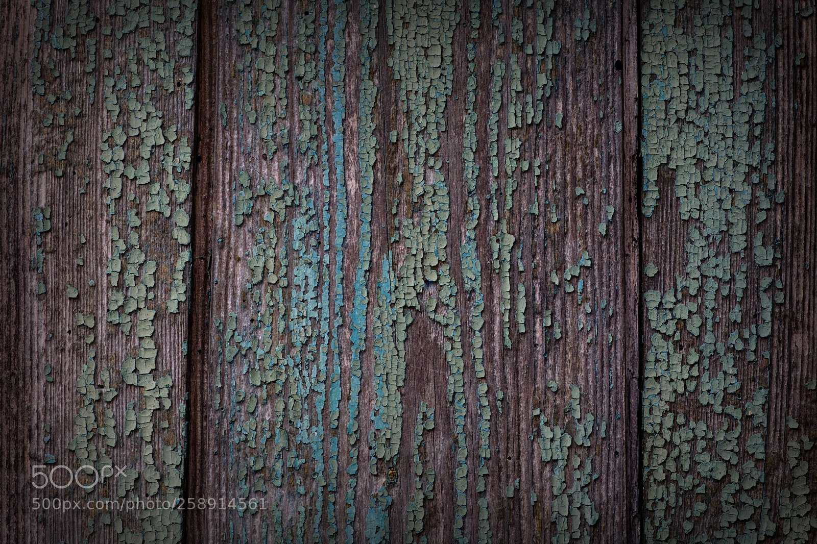 Nikon D5300 sample photo. Which once was photography