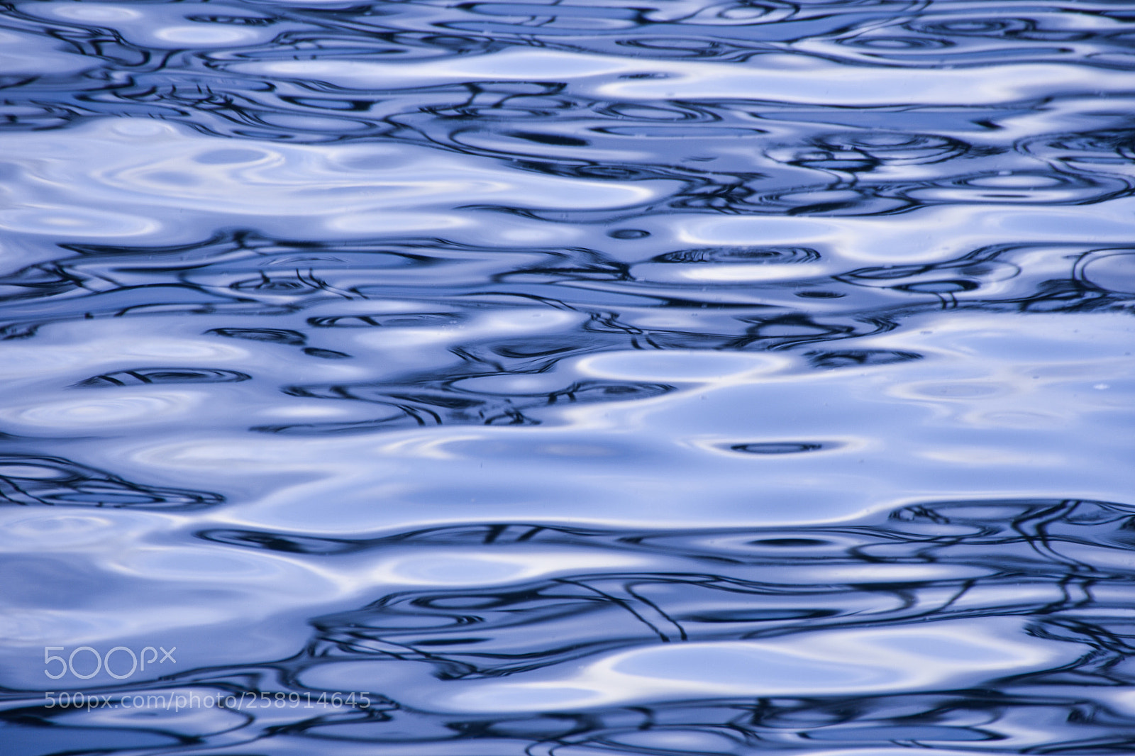 Nikon D3400 sample photo. Reflections  photography