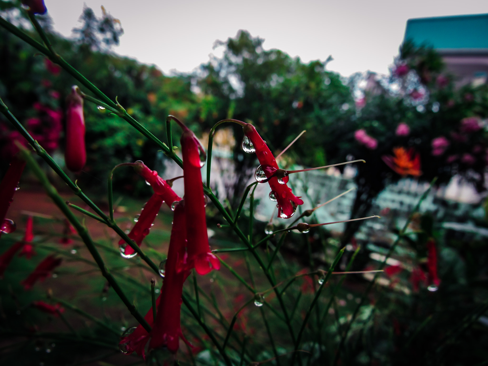 Canon PowerShot SX520 HS sample photo. Sinos aos montes photography