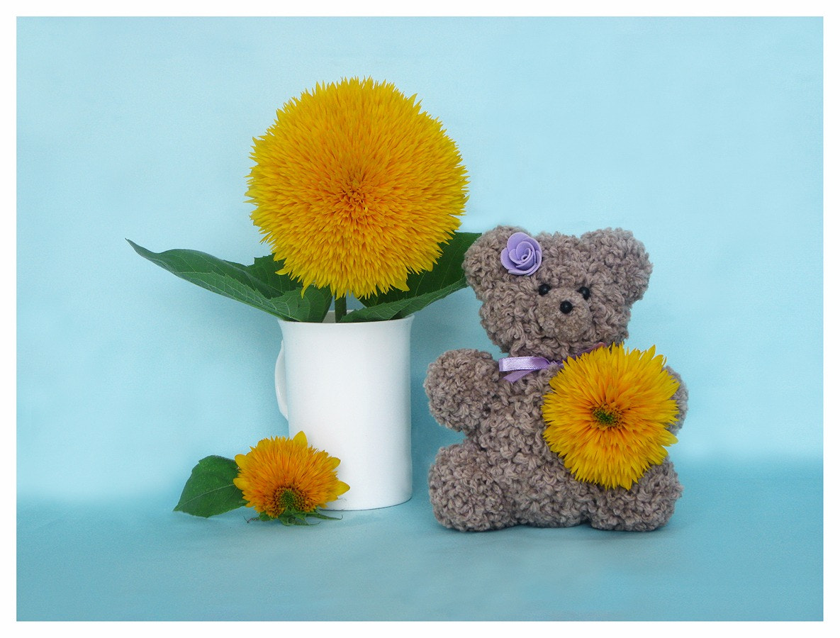 Canon PowerShot A3000 IS sample photo. Teddy ☺ photography