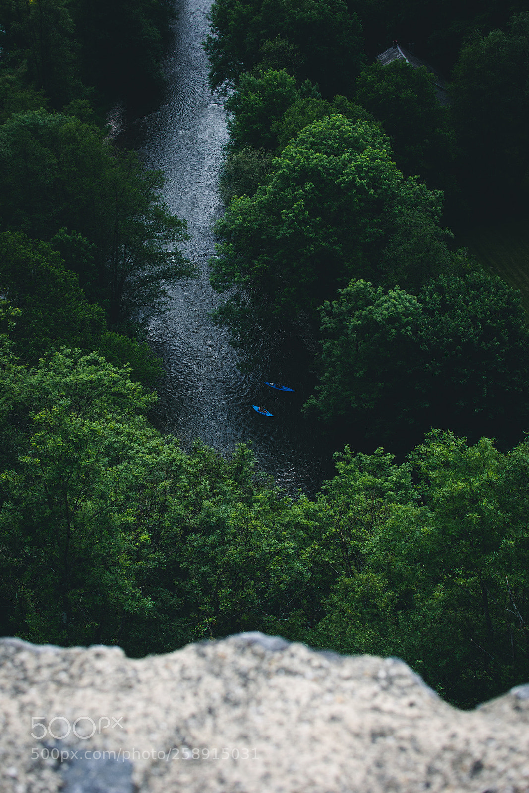 Nikon D5300 sample photo. Surrender to nature. photography