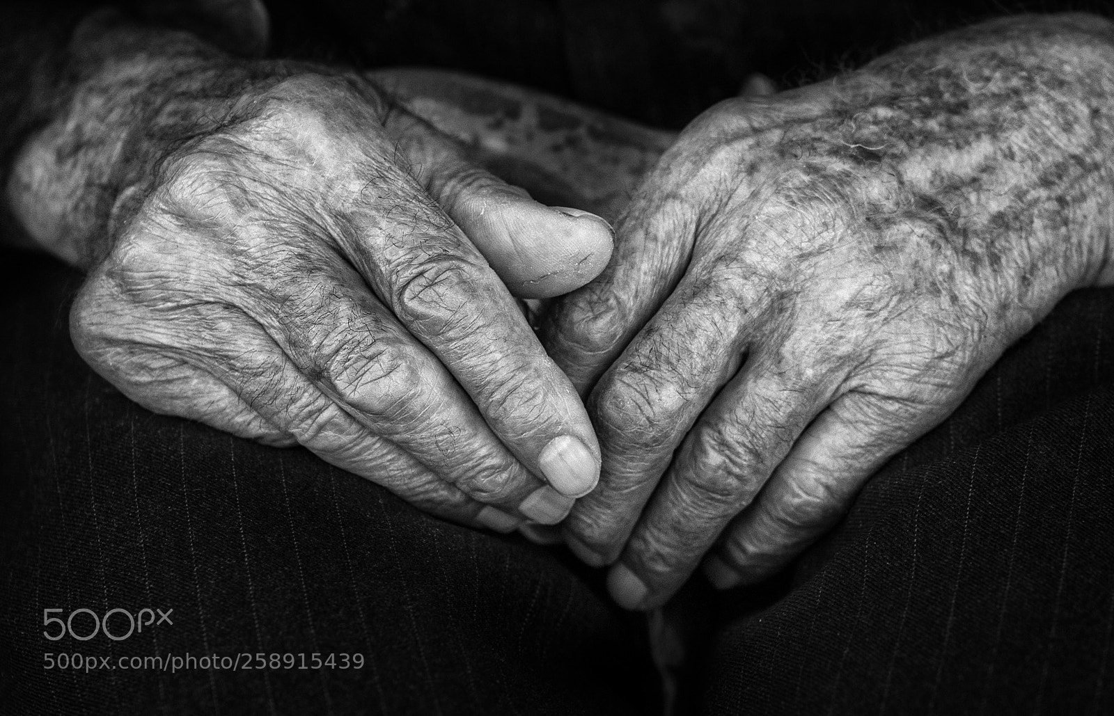 Sony a7 II sample photo. Hands of life photography