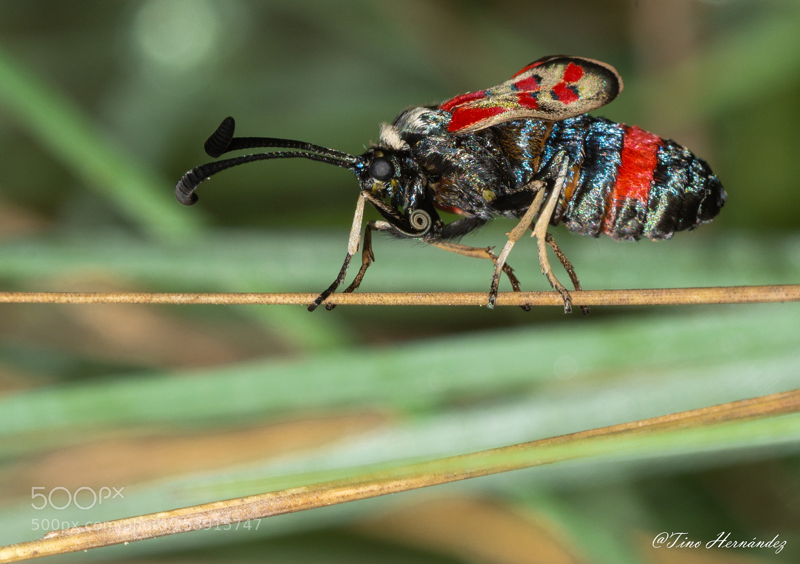 Nikon D7200 sample photo. Juggle photography