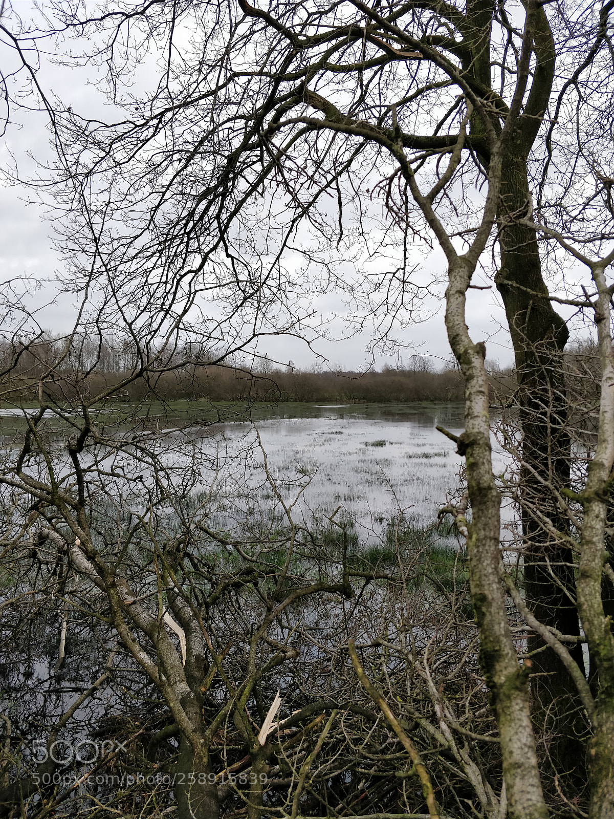 OnePlus 5 sample photo. Storm aftermath photography
