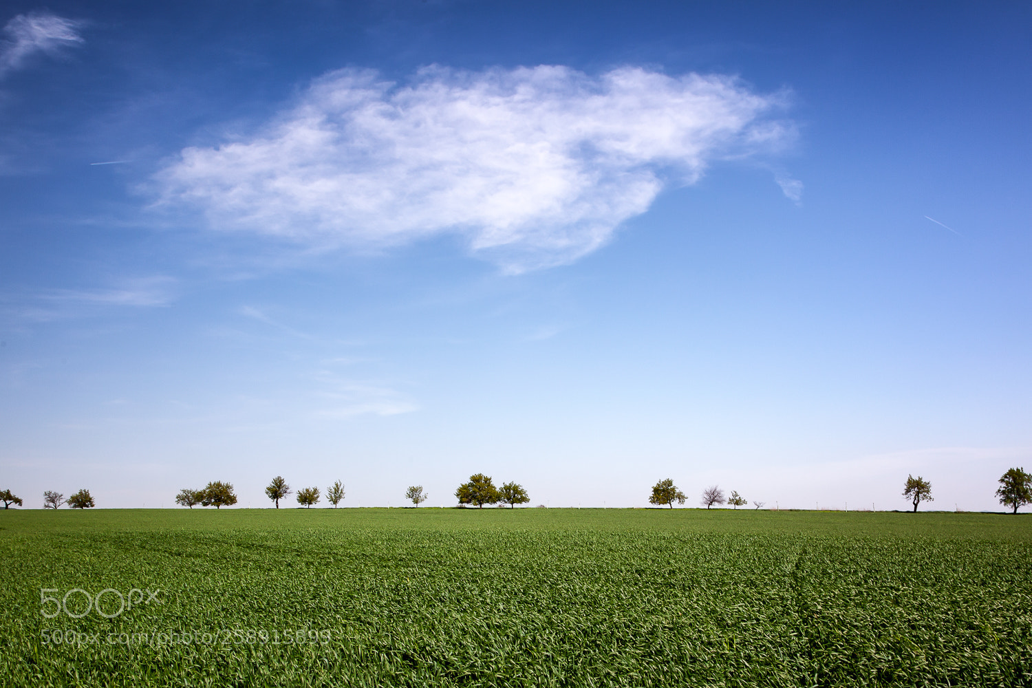 Canon EOS 5D Mark II sample photo. The perfect irregularity of photography