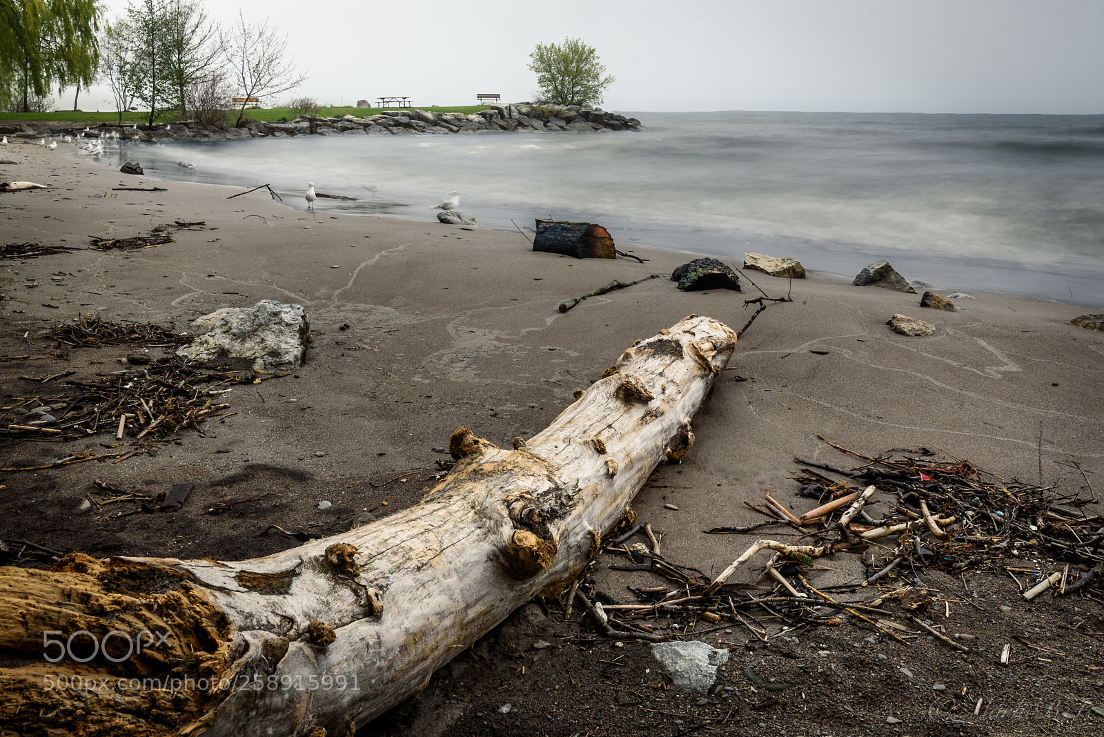 Nikon D750 sample photo. Waterlogged photography