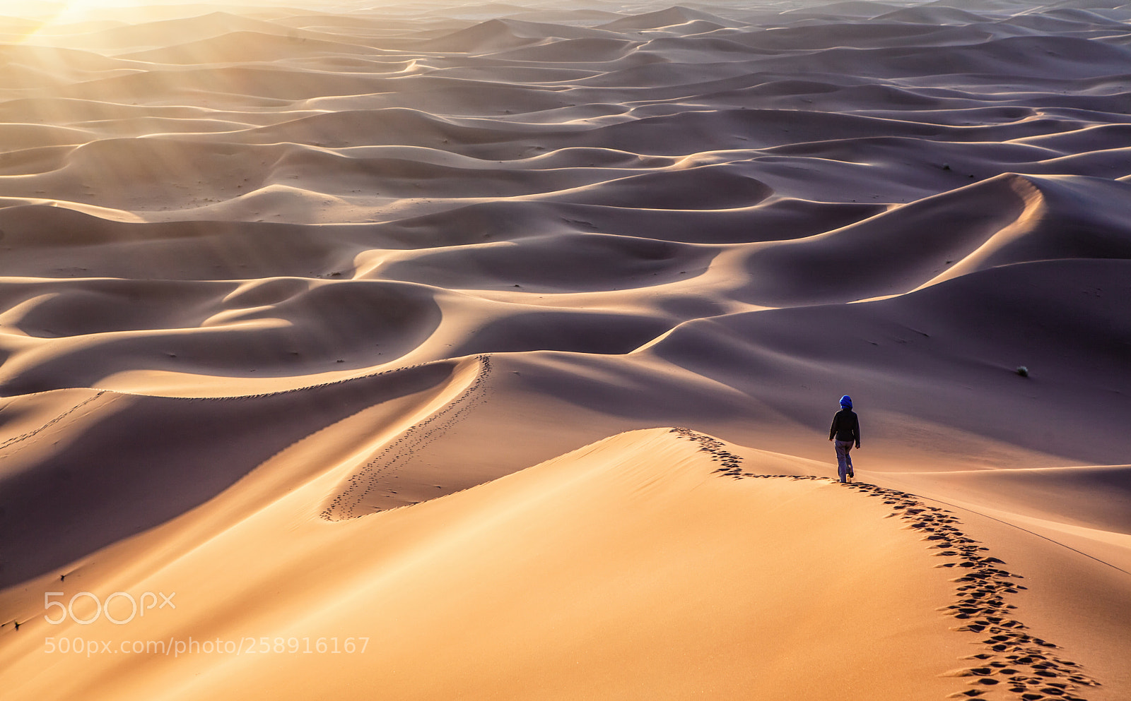 Canon EOS 5D Mark II sample photo. Dunes hurlantes photography
