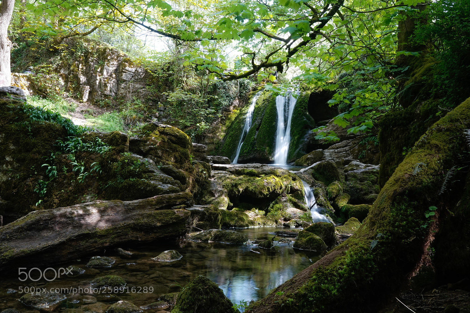 Sony a7 sample photo. Janets foss photography