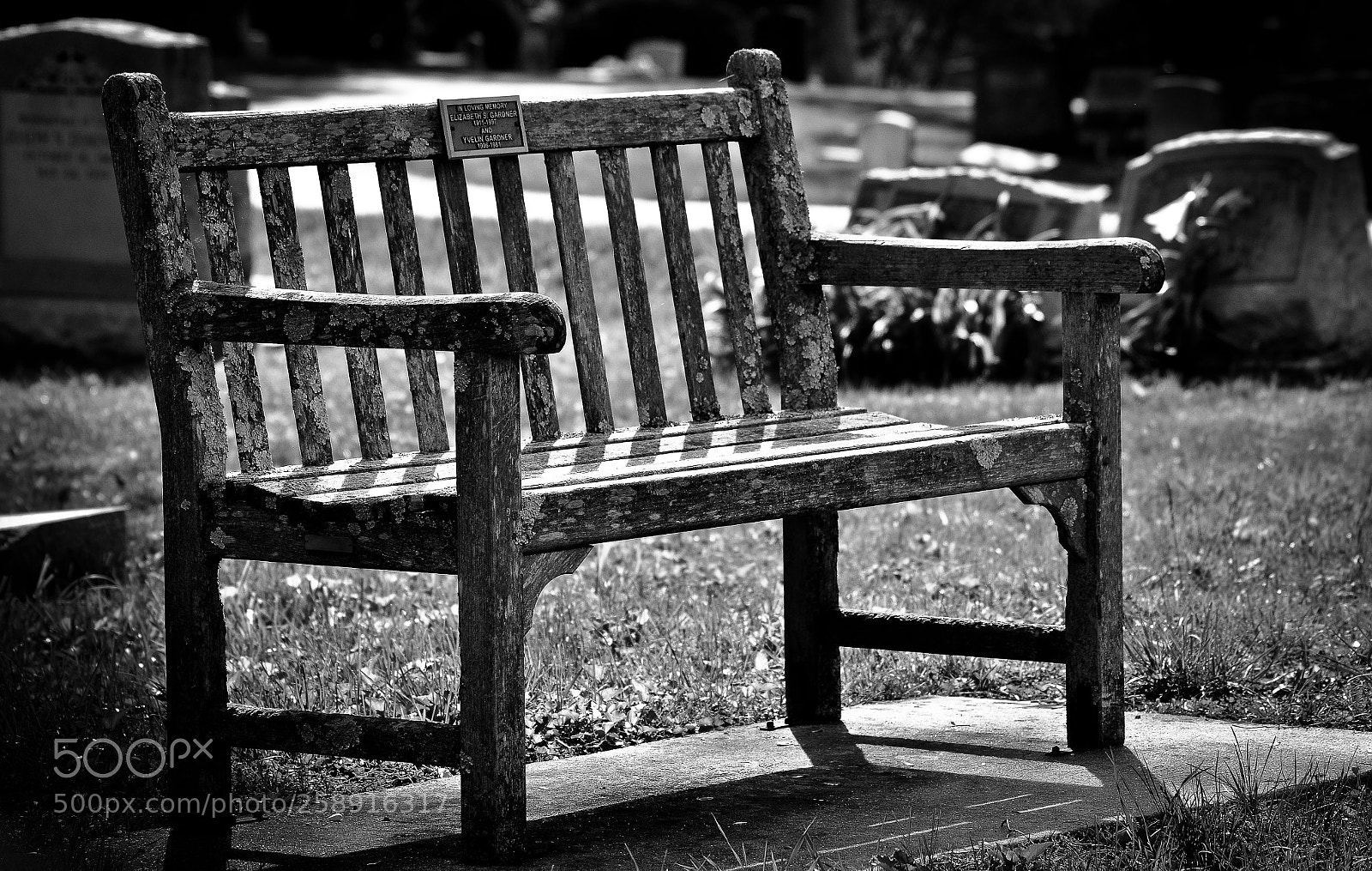 Nikon D7000 sample photo. Project one mile photography