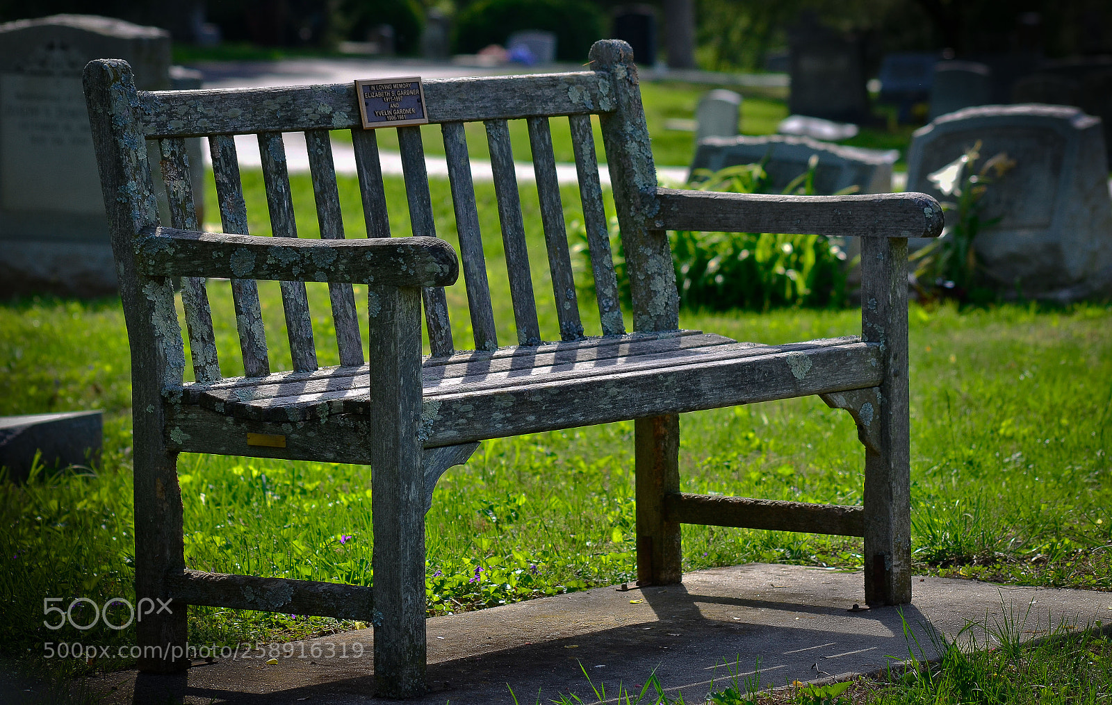 Nikon D7000 sample photo. Project one mile photography