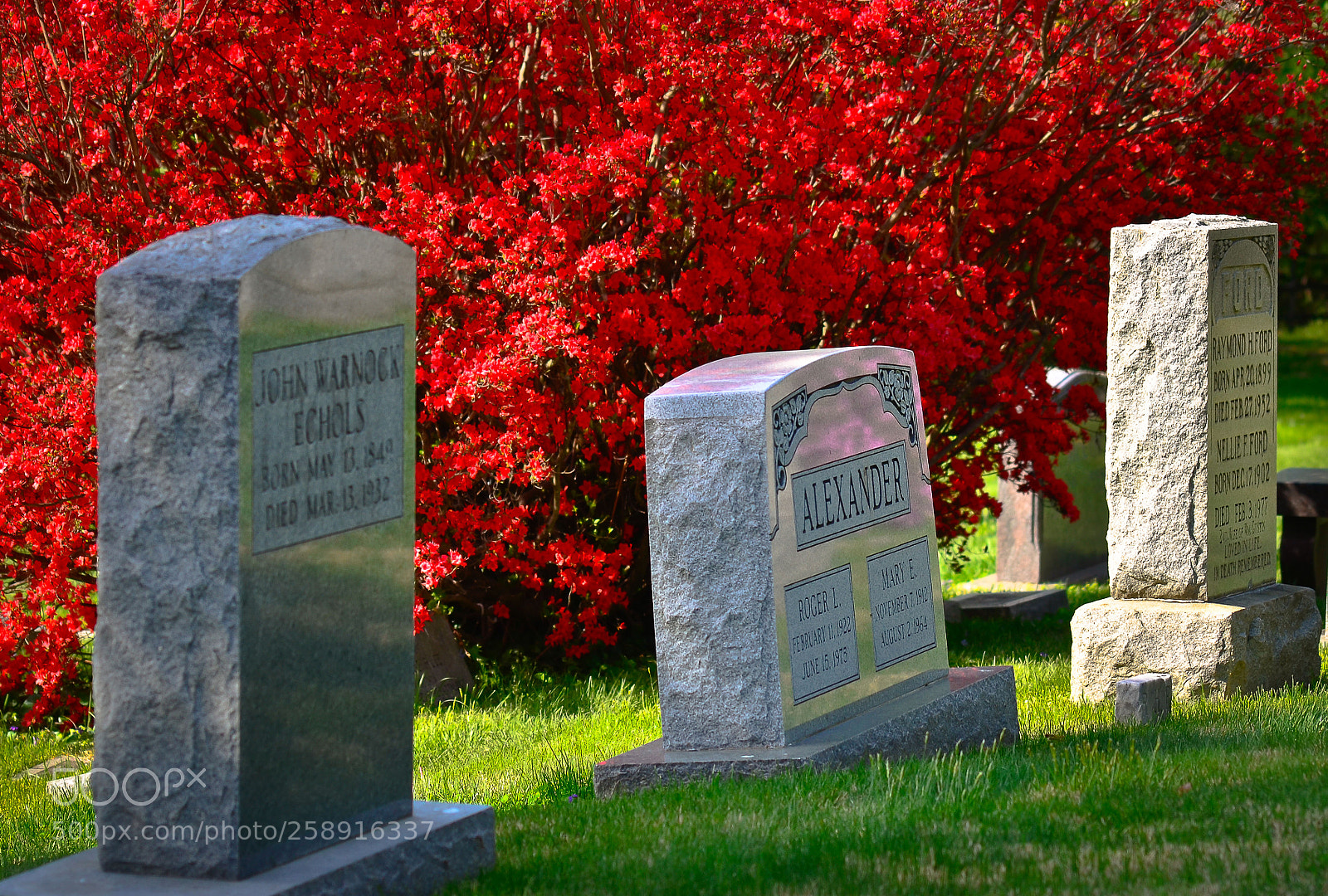 Nikon D7000 sample photo. Project one mile photography