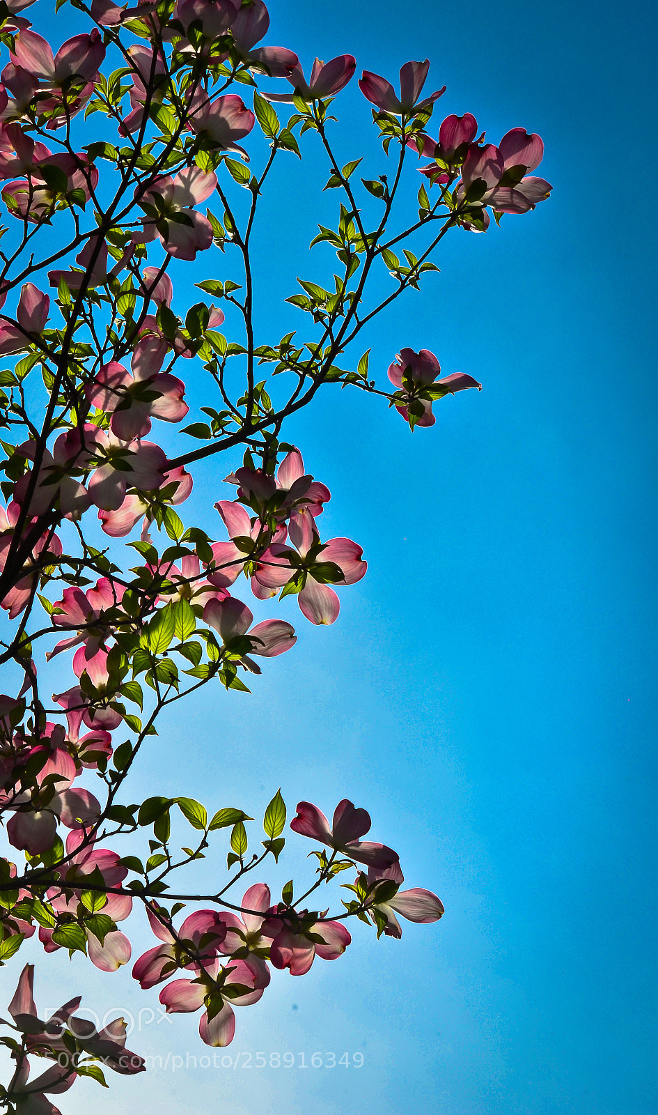 Nikon D7000 sample photo. Project one mile photography
