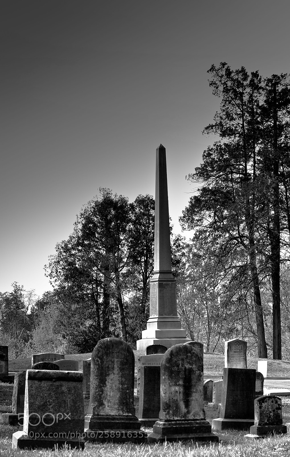 Nikon D7000 sample photo. Project one mile photography