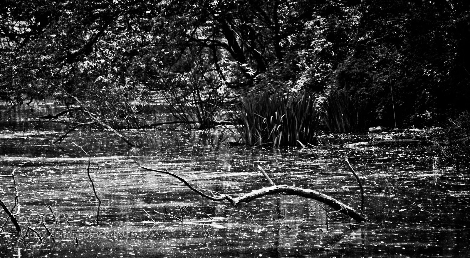 Nikon D7000 sample photo. Project one mile photography