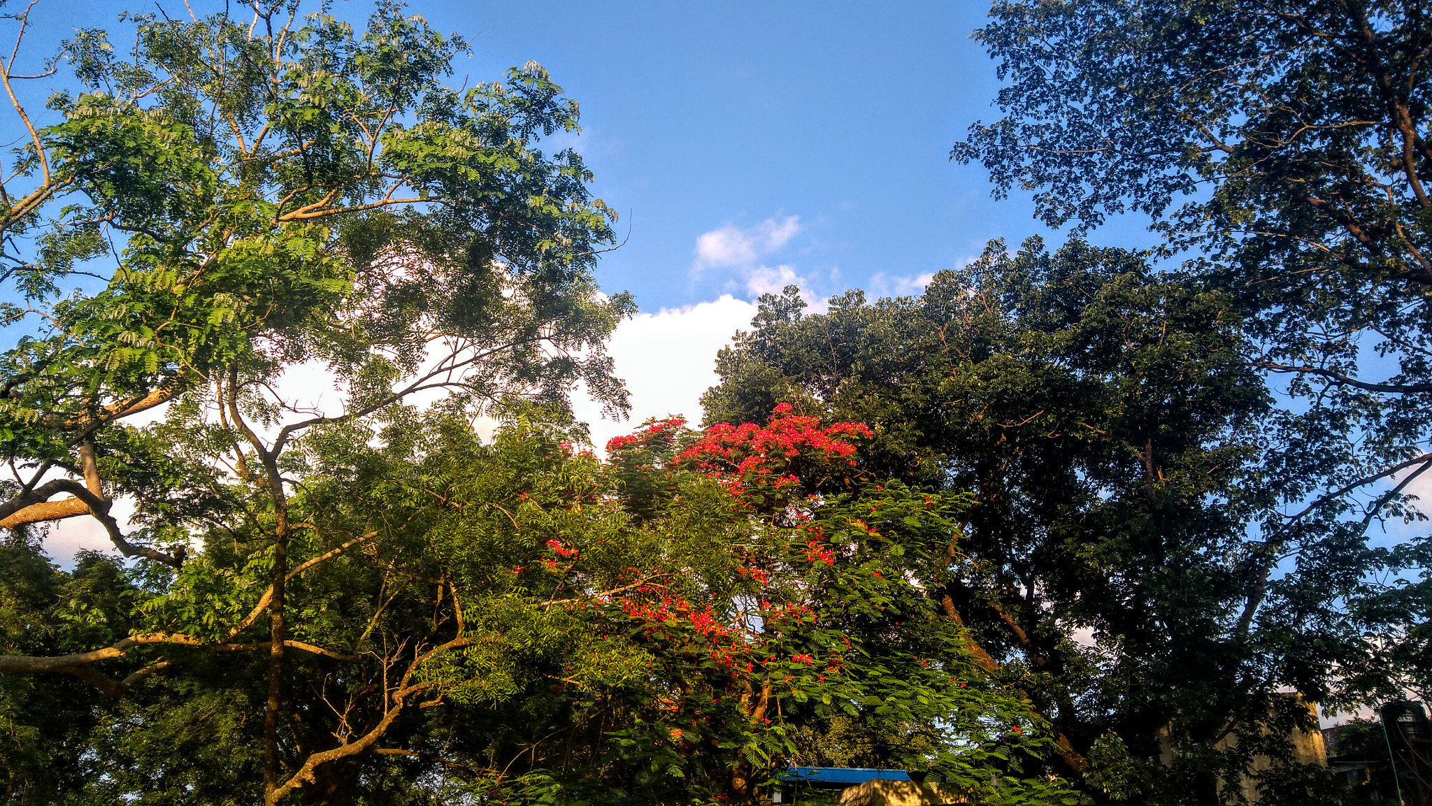 Lenovo K6 NOTE sample photo. Sky photography