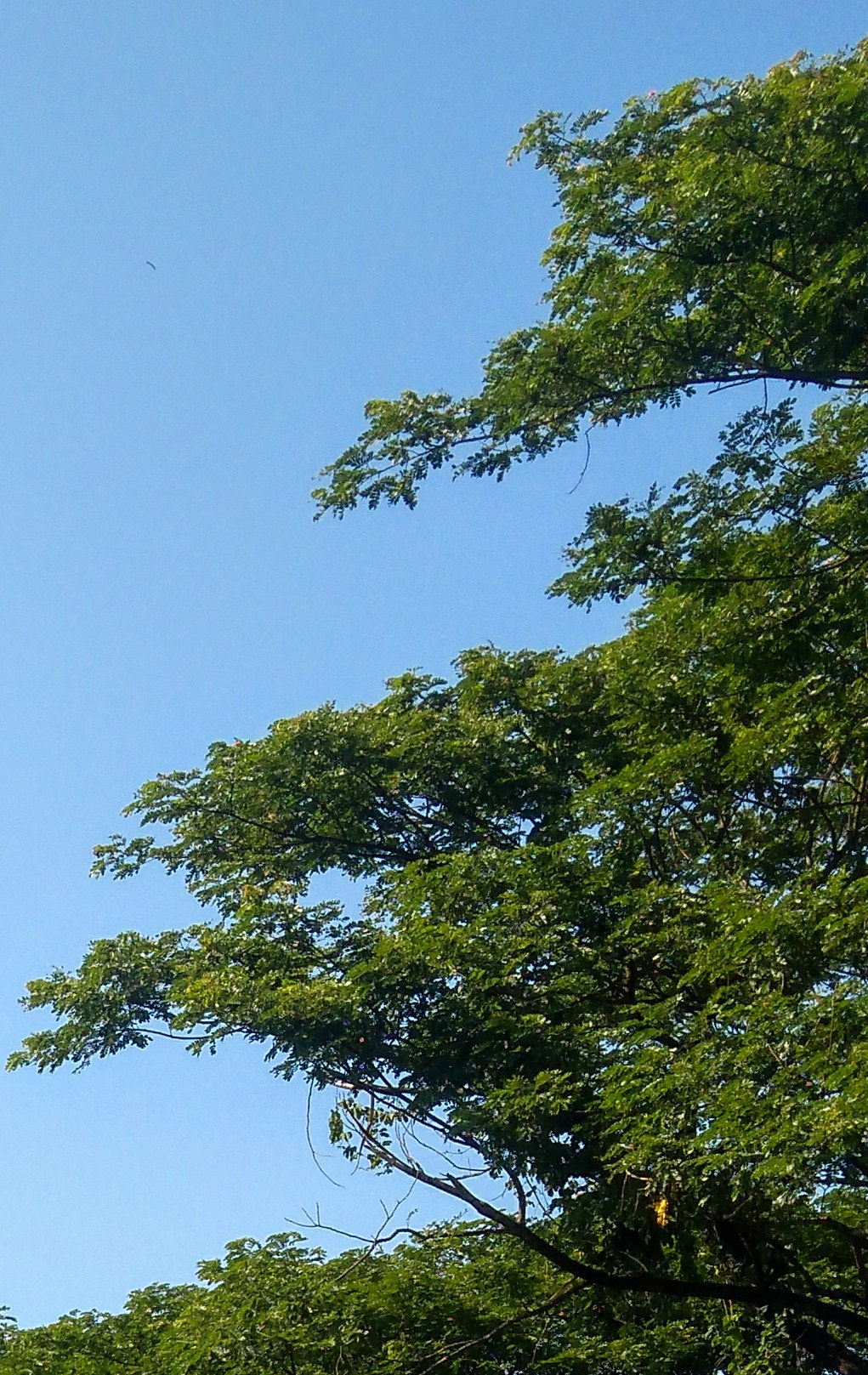 Lenovo K6 NOTE sample photo. Sky photography