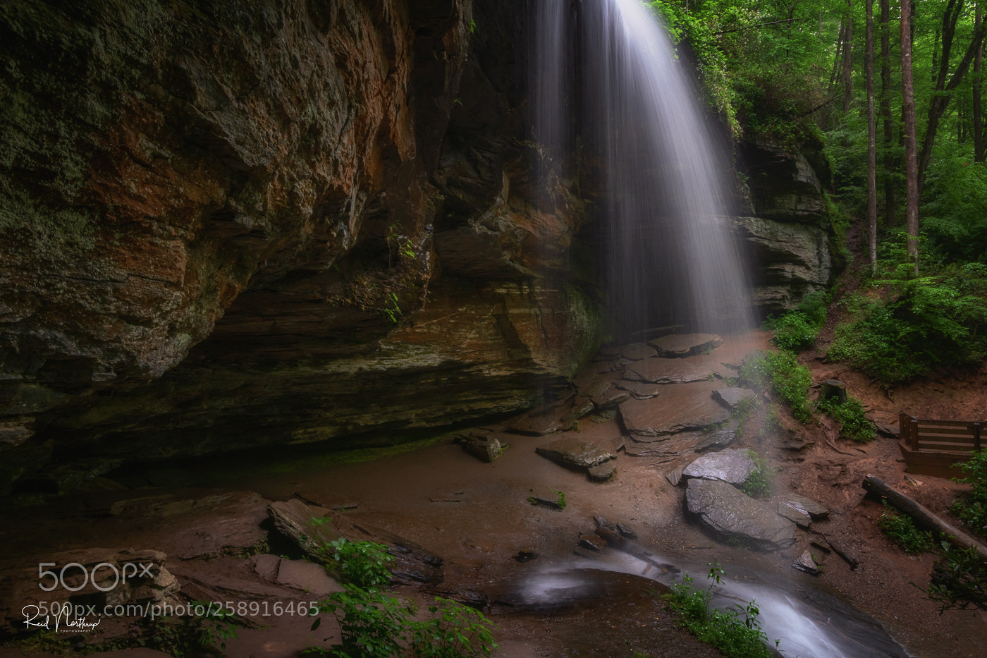 Nikon D850 sample photo. Moore cove falls photography