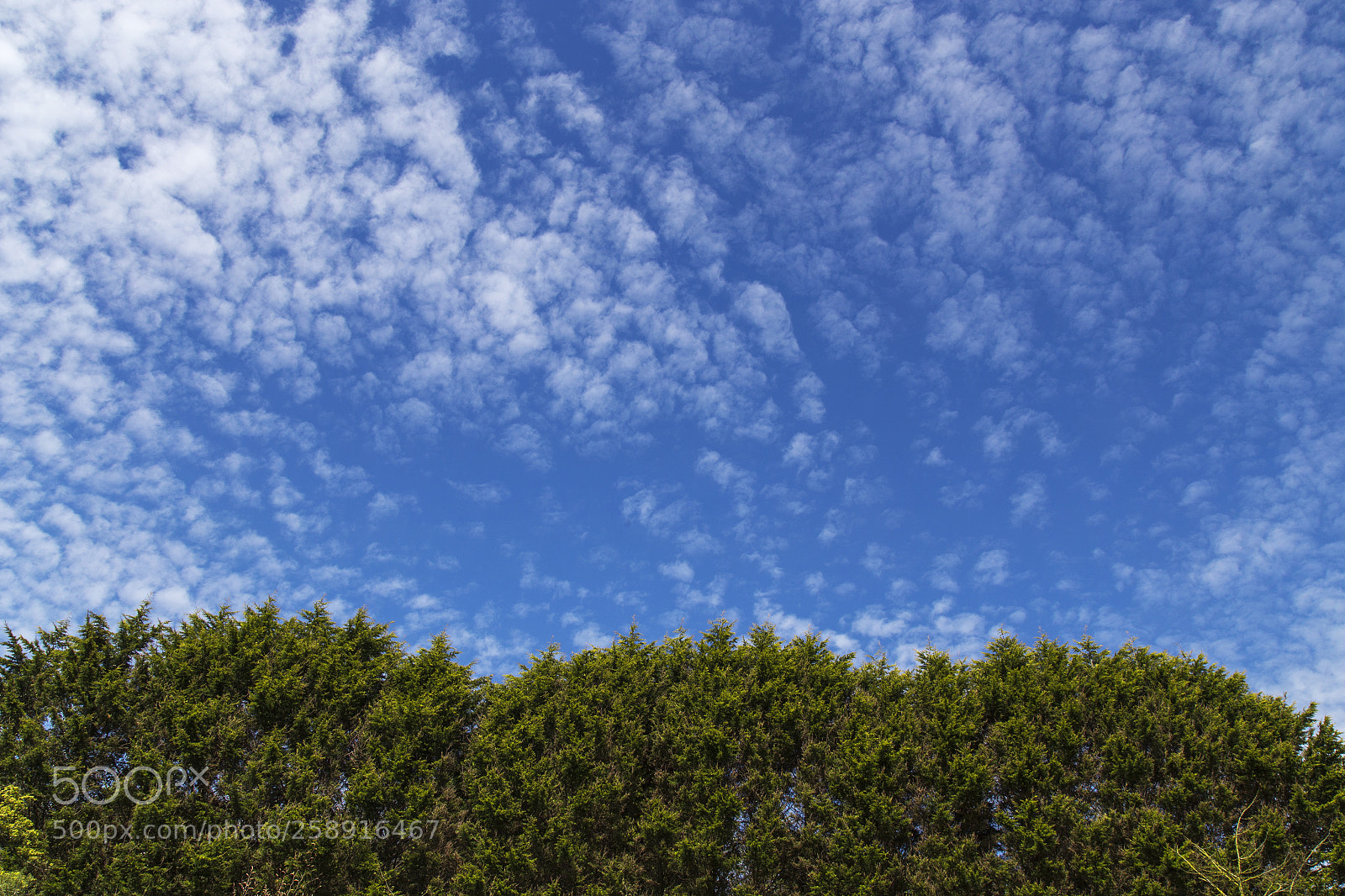 Canon EOS 6D sample photo. Blue sky photography