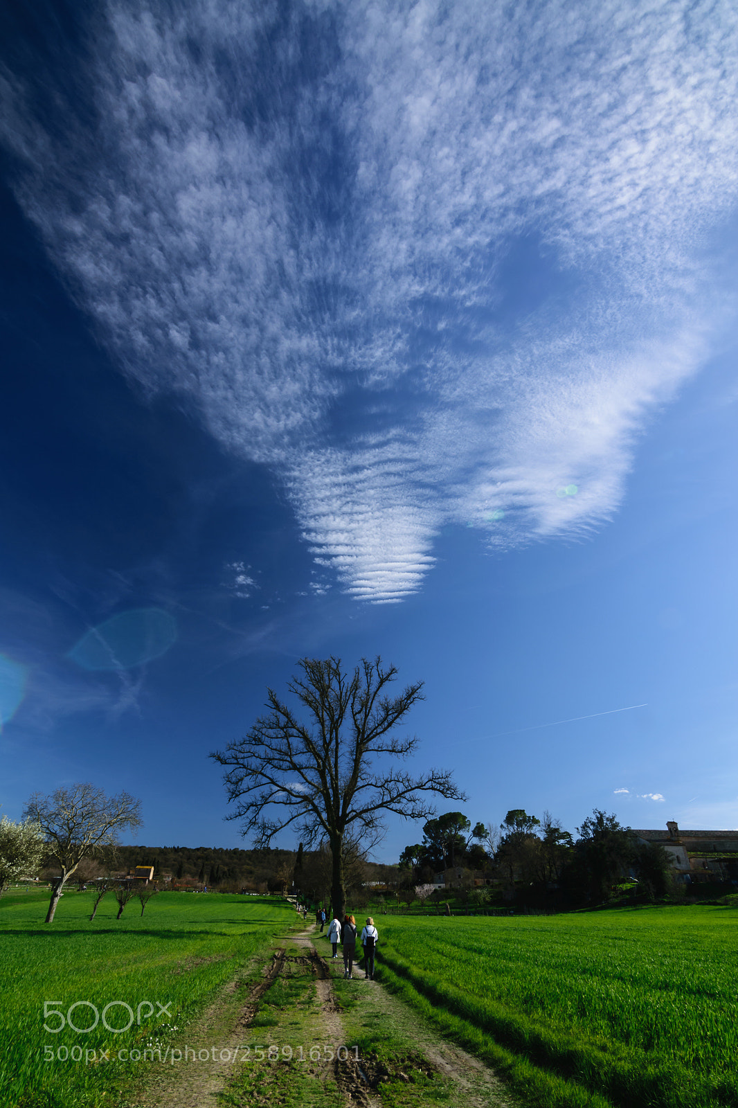 Nikon D5300 sample photo. Cloud movements photography