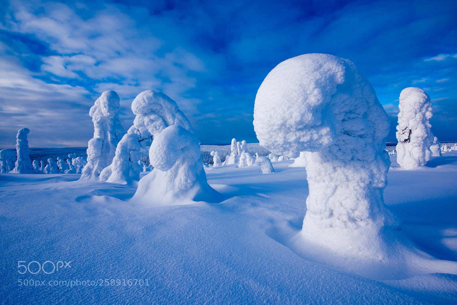 Nikon D810 sample photo. Nature's snow sculptures photography