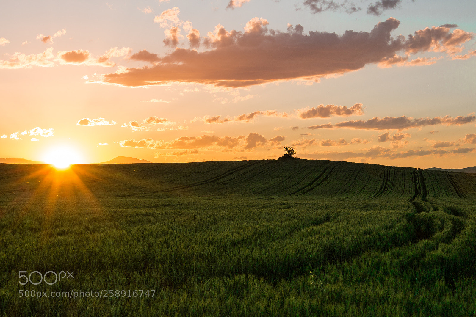 Canon EOS 700D (EOS Rebel T5i / EOS Kiss X7i) sample photo. Sunset photography