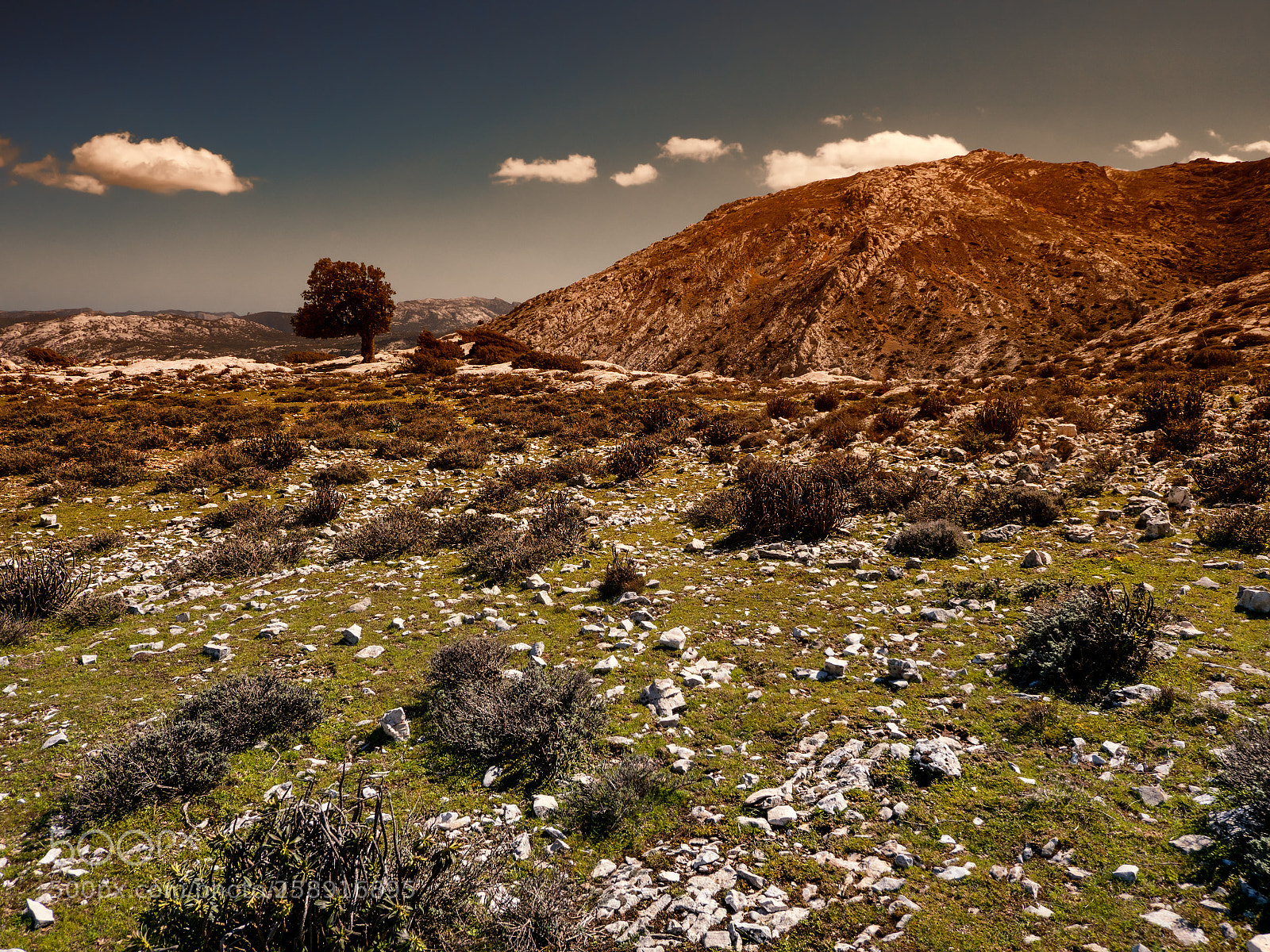 Panasonic Lumix DC-G9 sample photo. Sardinian landscape. photography
