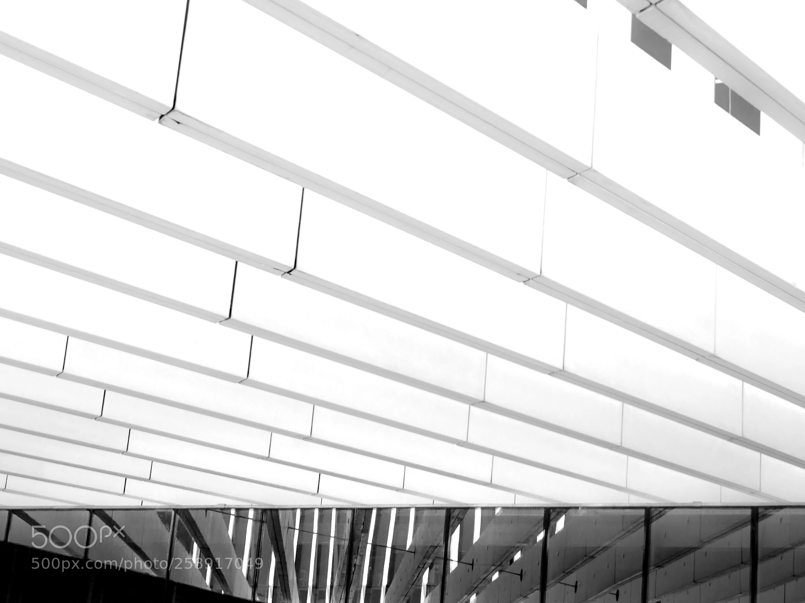 Nikon D7100 sample photo. Lines photography