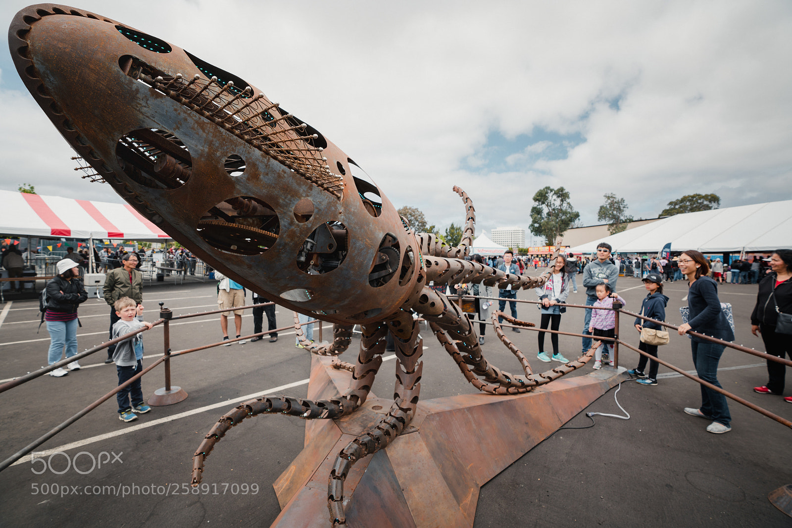 Sony a7R III sample photo. Squid photography