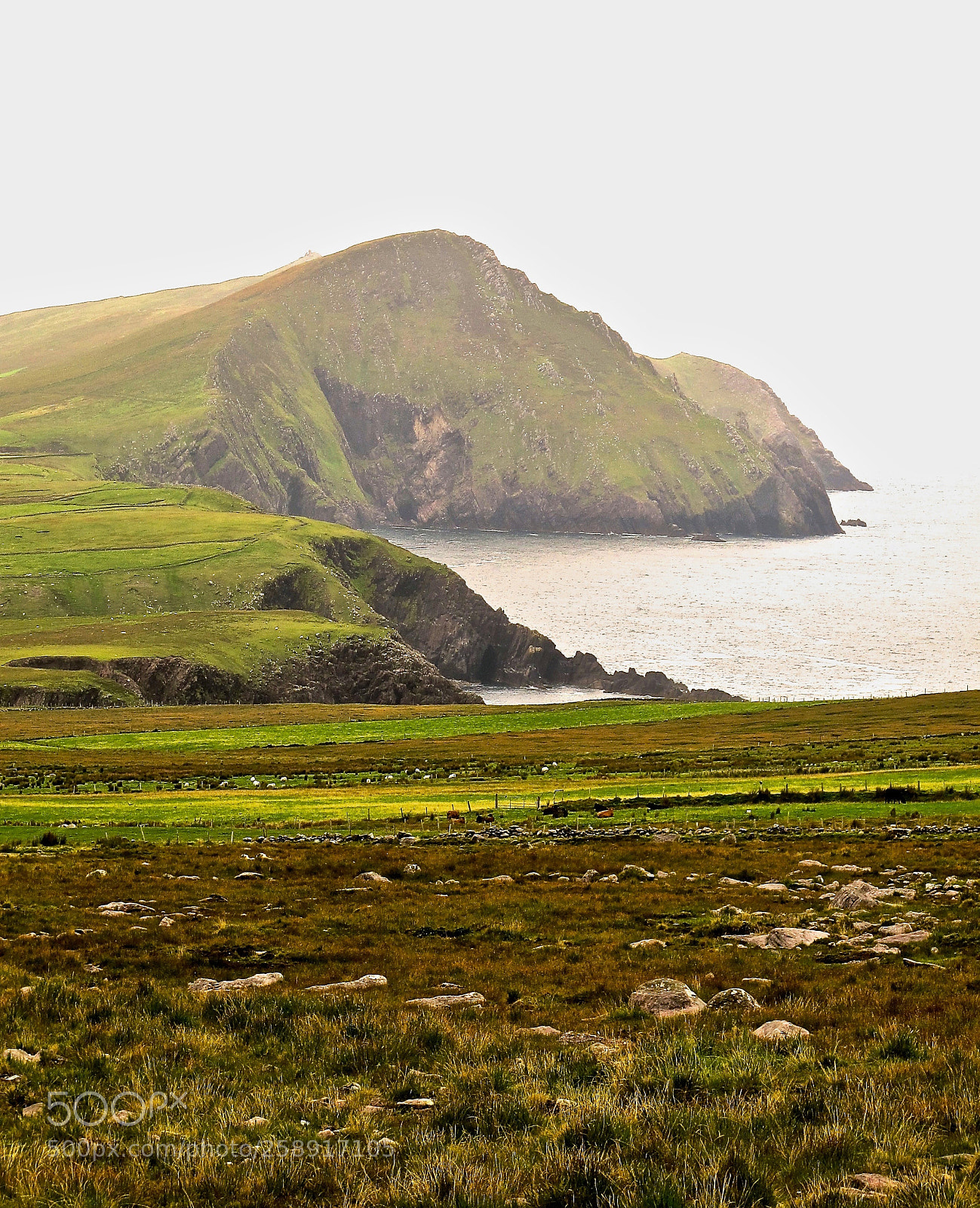 Canon PowerShot G12 sample photo. On the dingle way photography