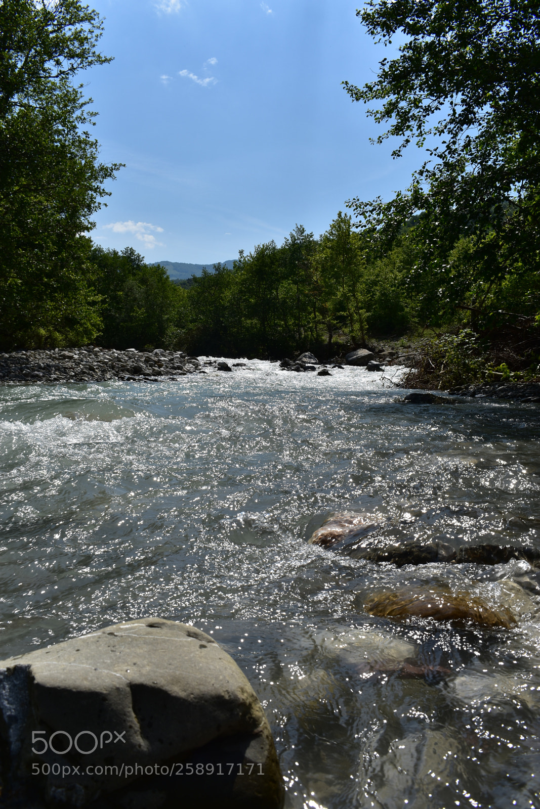 Nikon D3400 sample photo. Dsc photography