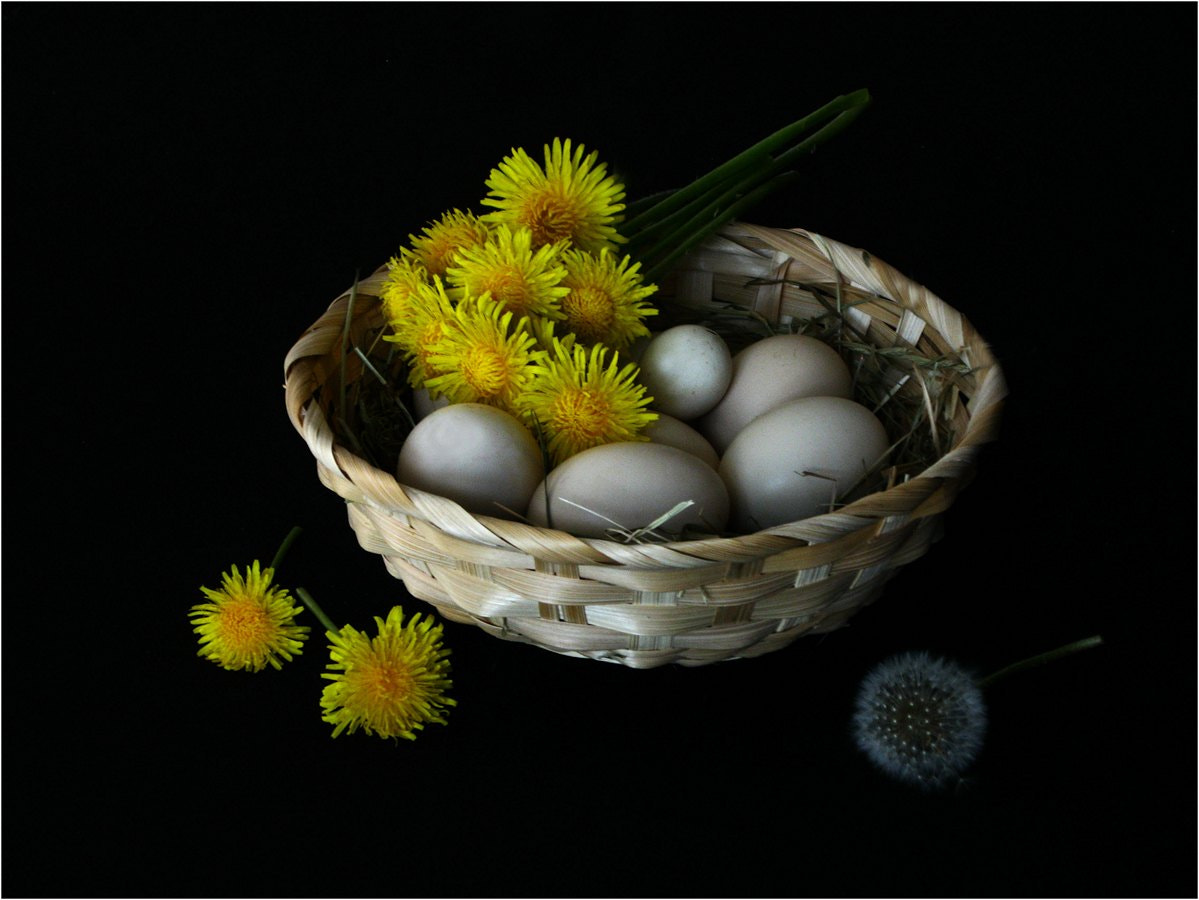 Canon PowerShot A3000 IS sample photo. Eggs&flowers photography