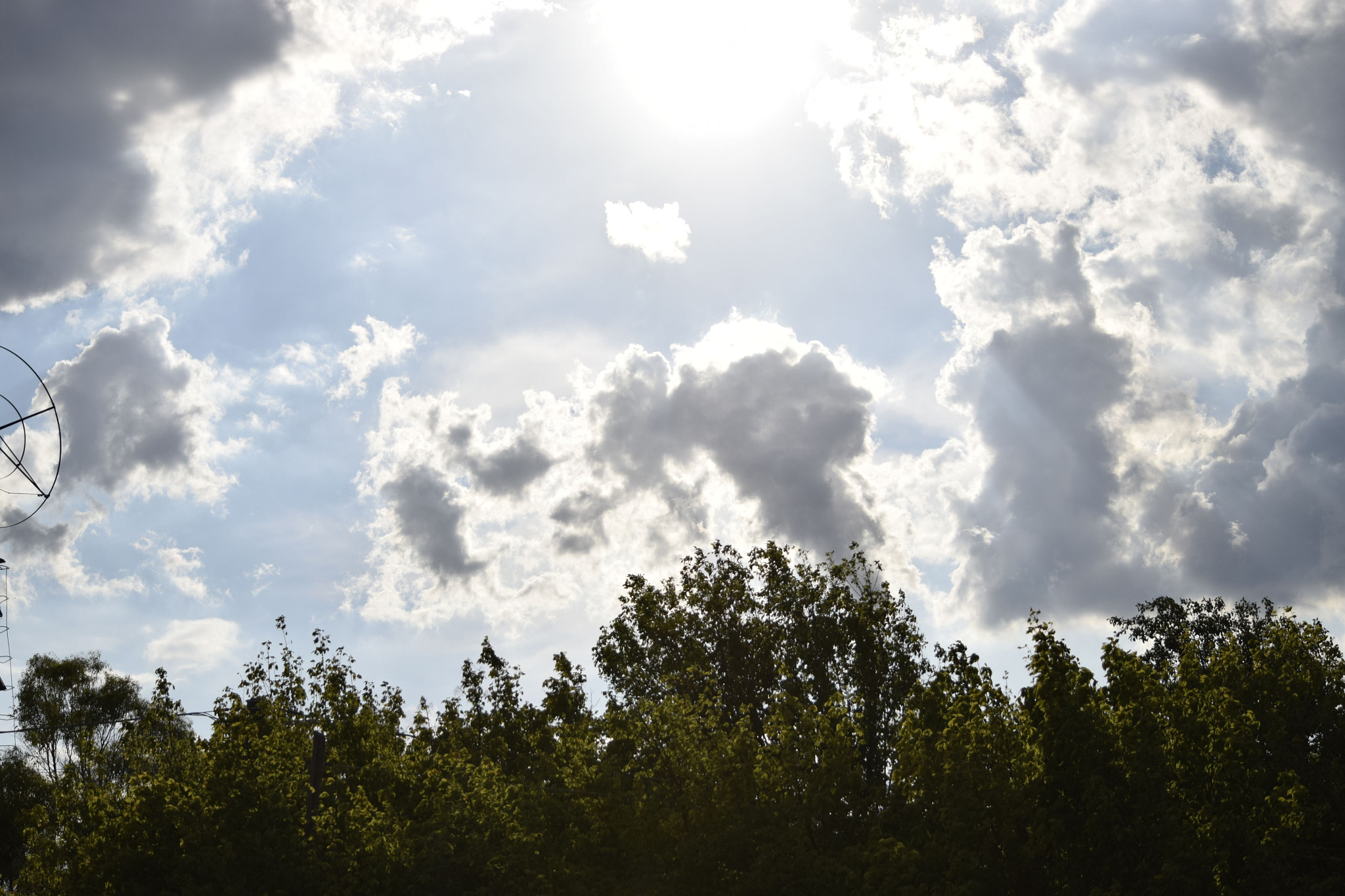Nikon D3300 sample photo