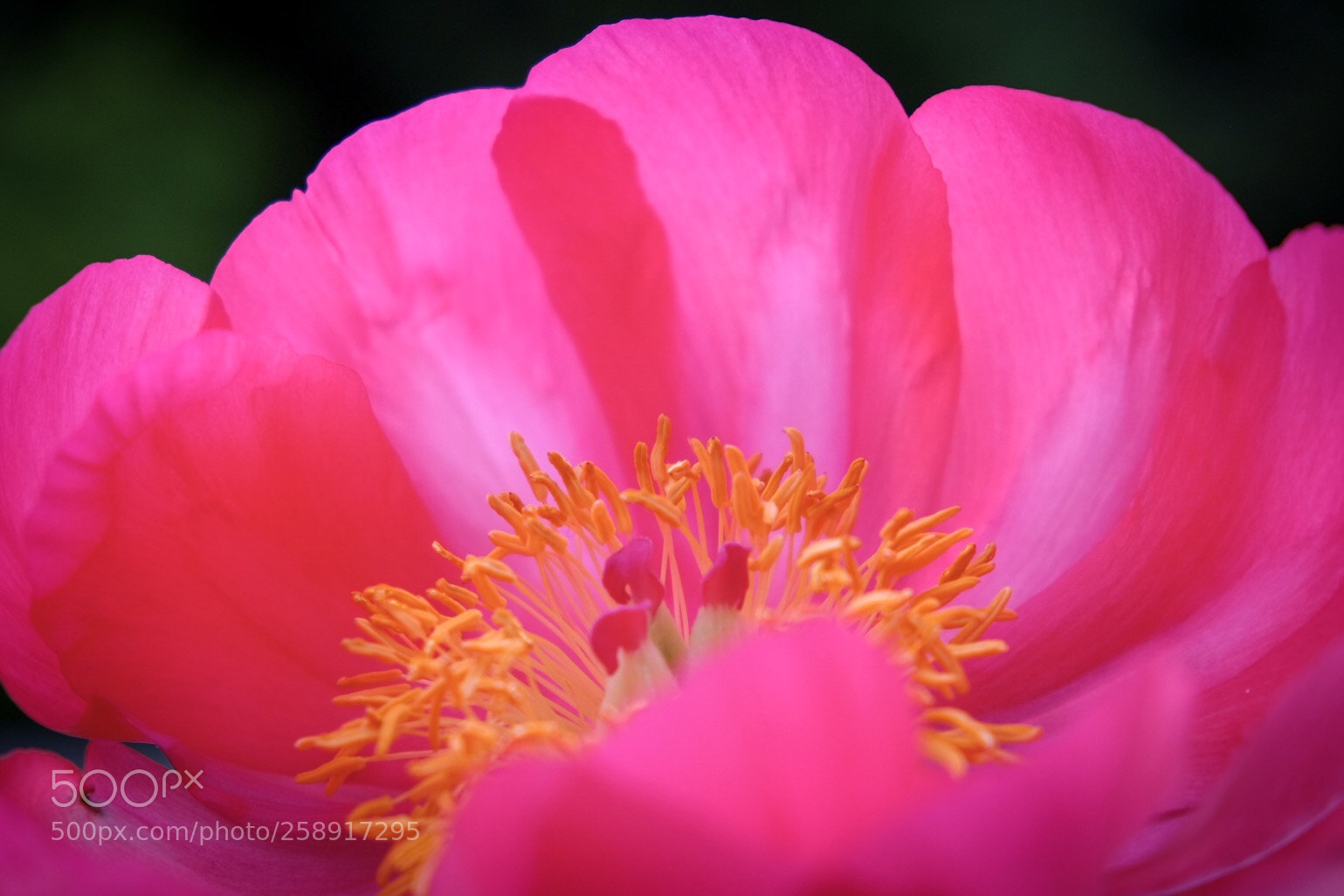 Fujifilm X-T20 sample photo. Untitled photography