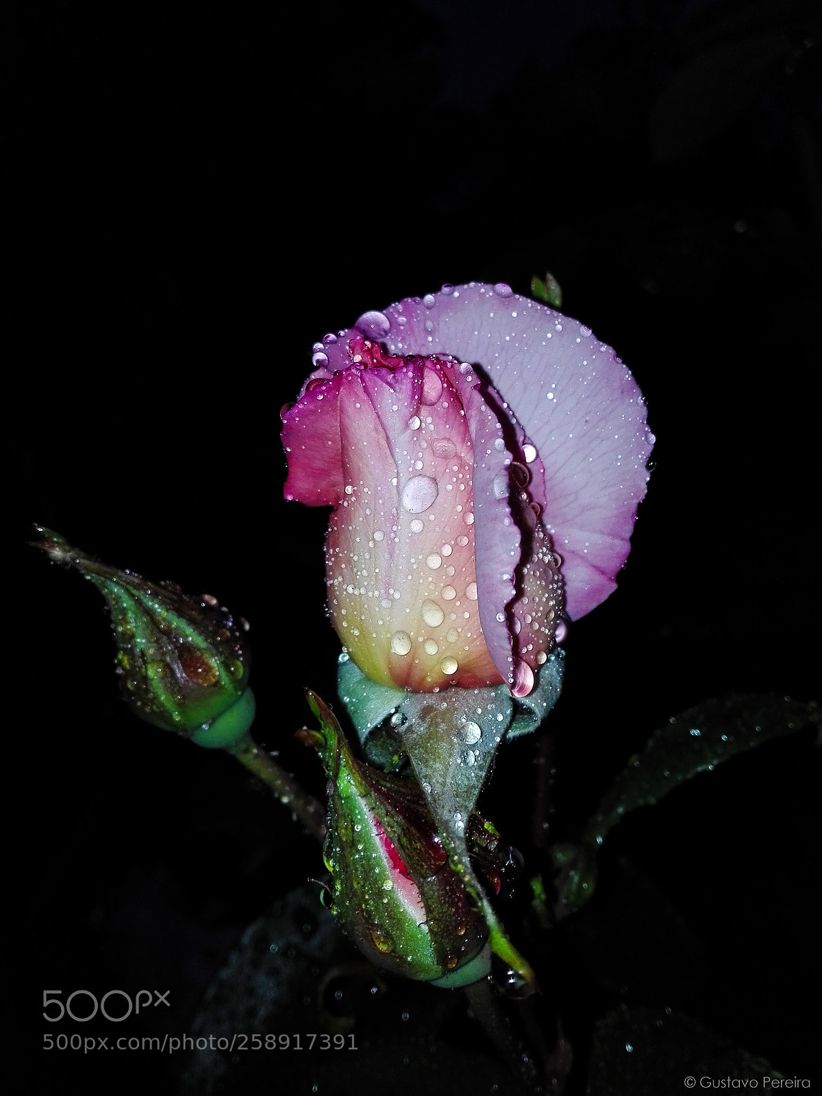 HUAWEI P8 Lite sample photo. The star photography