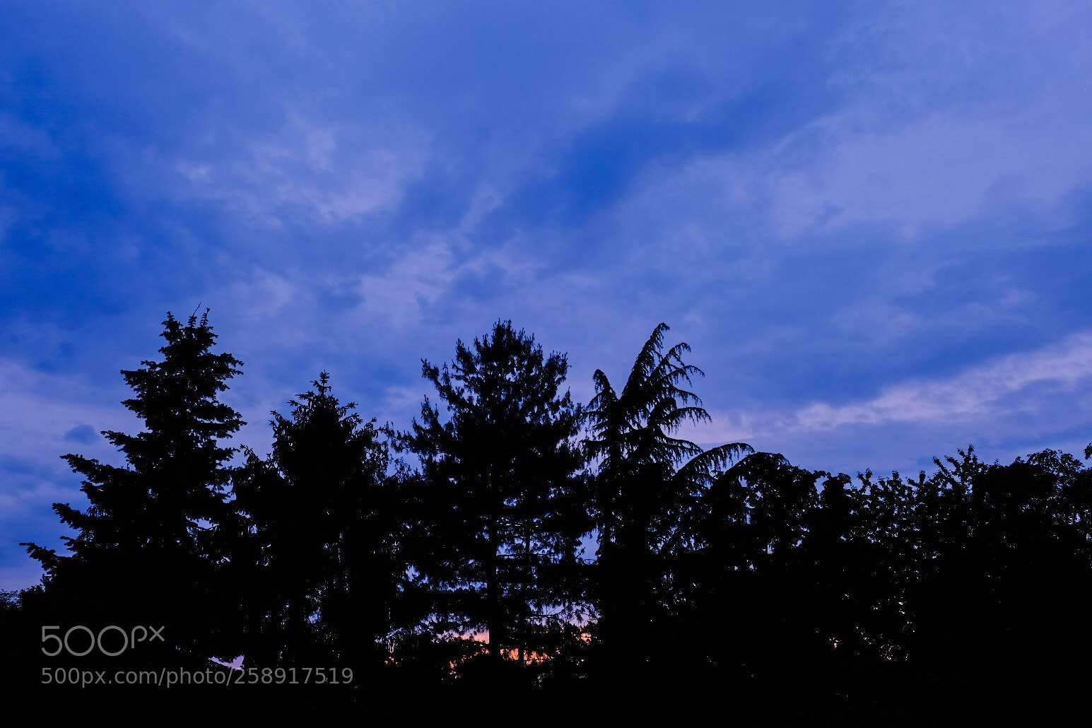Fujifilm X-T20 sample photo. Untitled photography