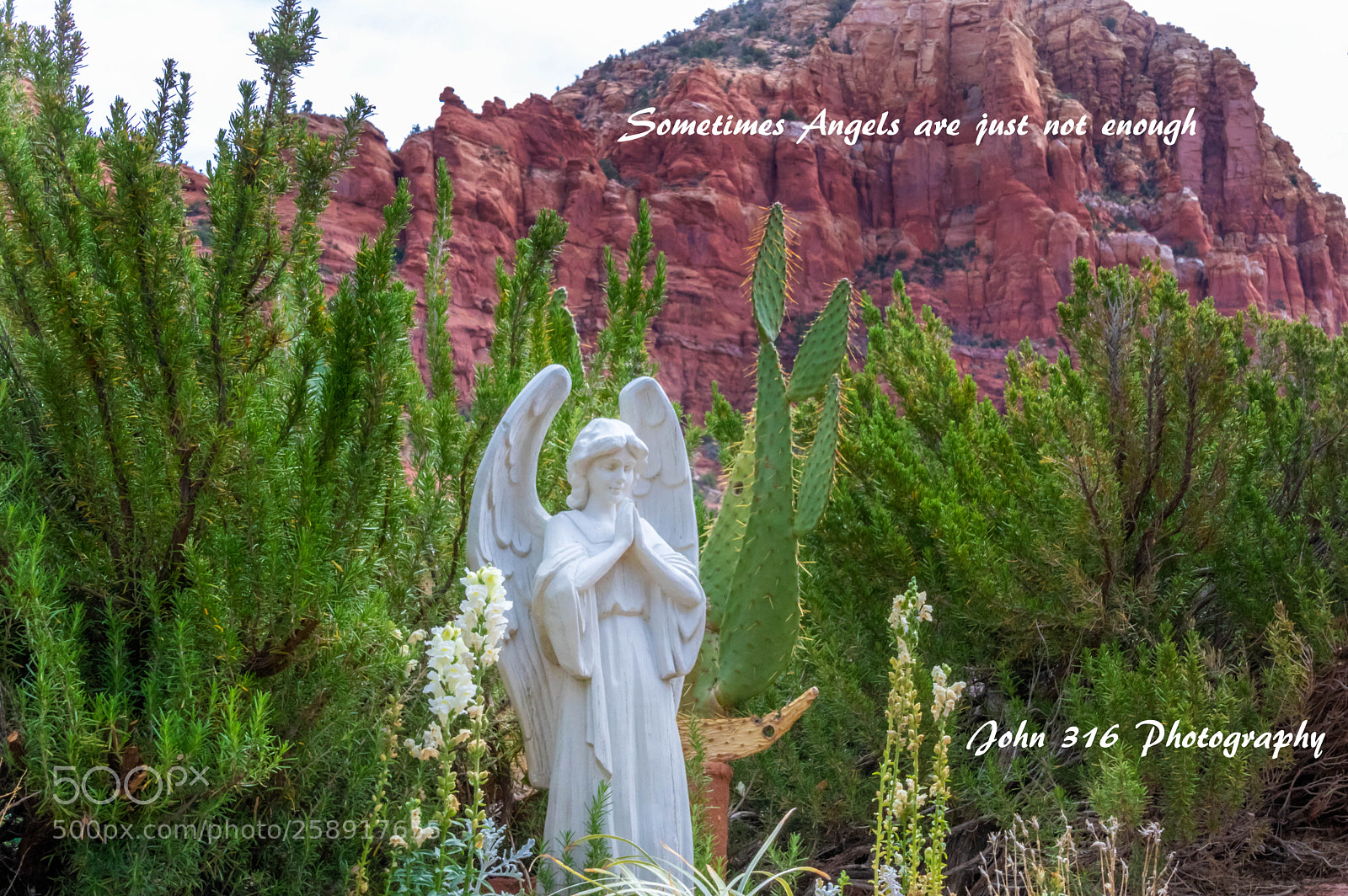 Canon EOS 80D sample photo. Not enought photography