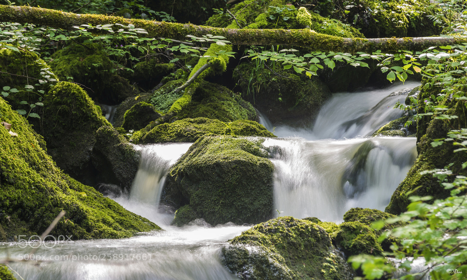 Nikon D800 sample photo. Wasser photography