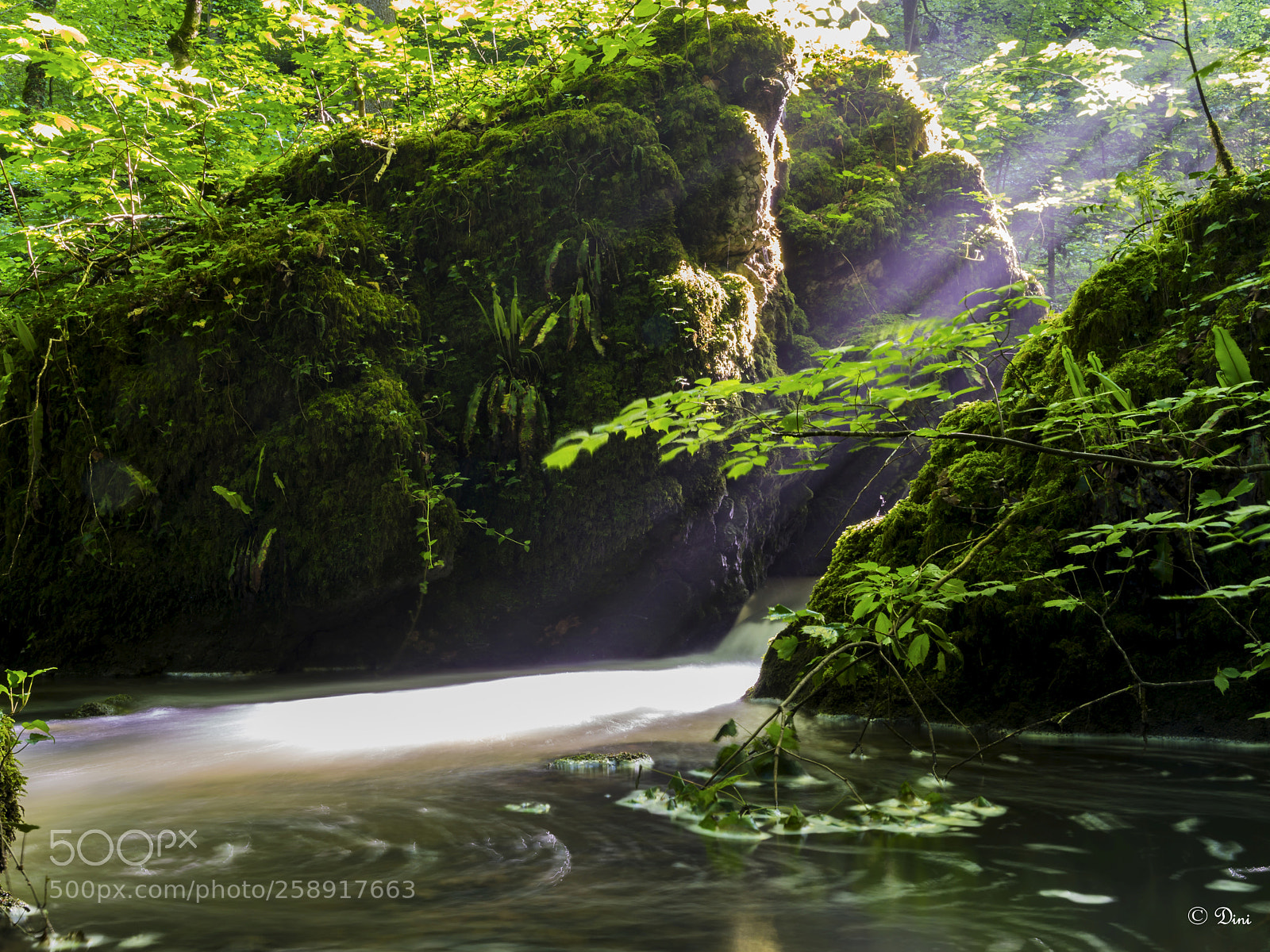 Nikon D800 sample photo. Wasser photography