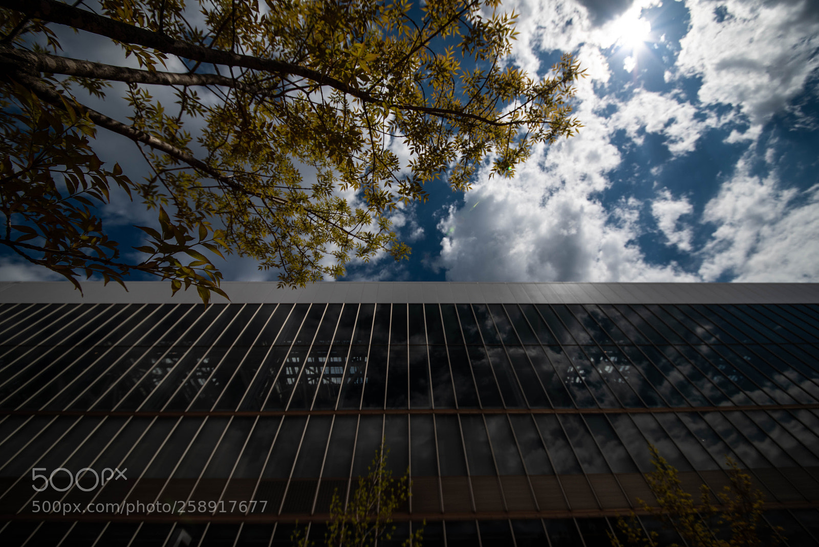 Nikon D810 sample photo. Sky photography