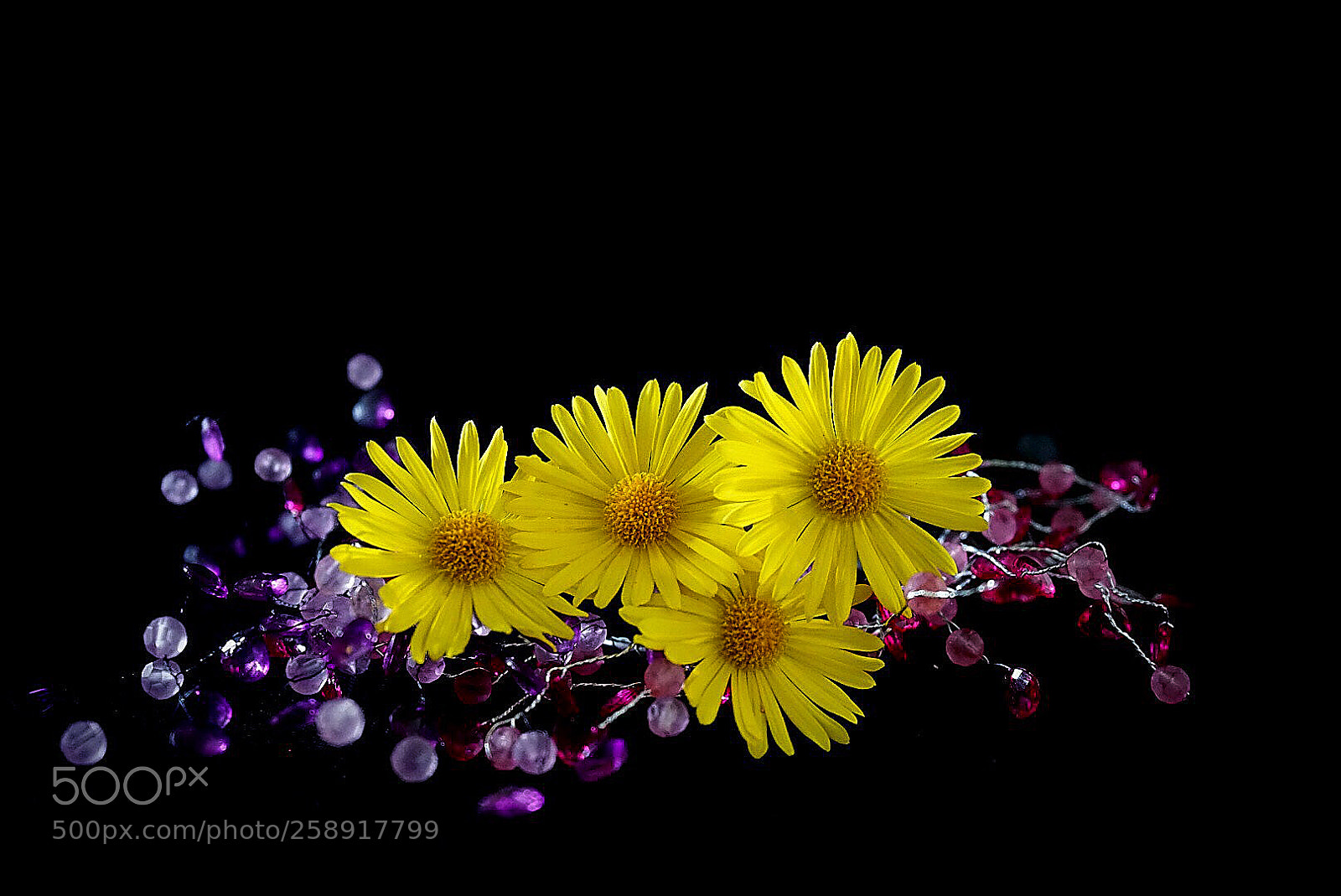 Sony a7R sample photo. Untitled photography