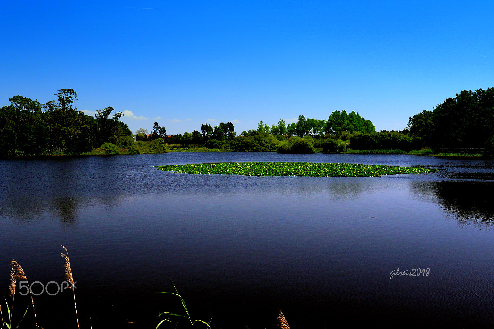 Canon EF 24-70mm F4L IS USM sample photo. Lagoon photography