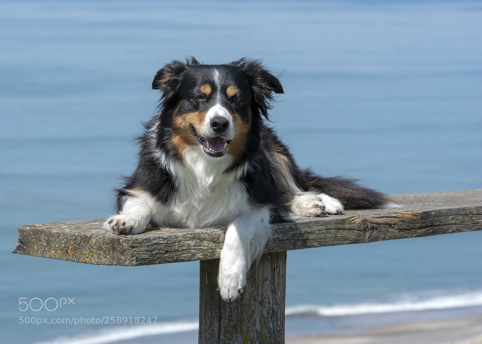 Nikon D750 sample photo. Catja at sea photography