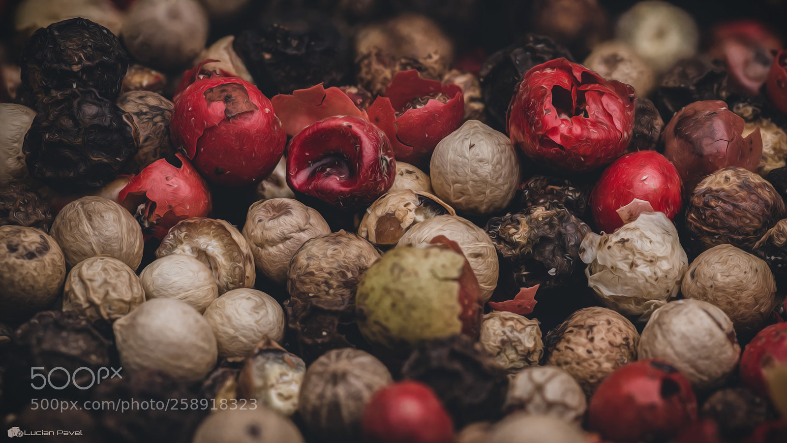 Nikon D750 sample photo. Pepper macro photography